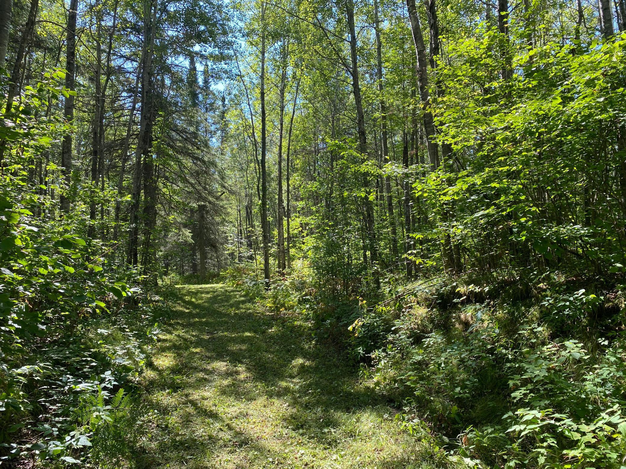 TBD Buck Dr., Bovey, Minnesota image 11