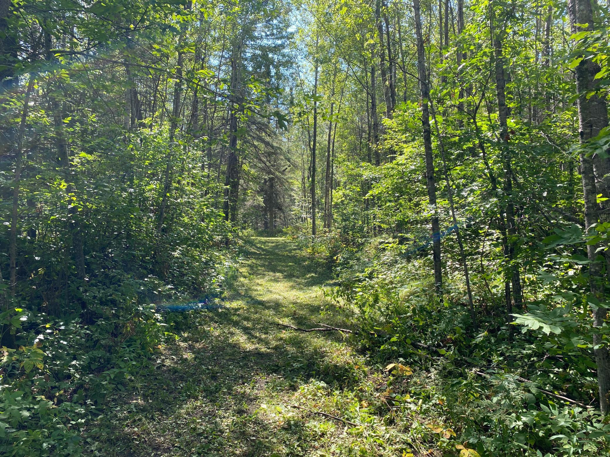 TBD Buck Dr., Bovey, Minnesota image 10