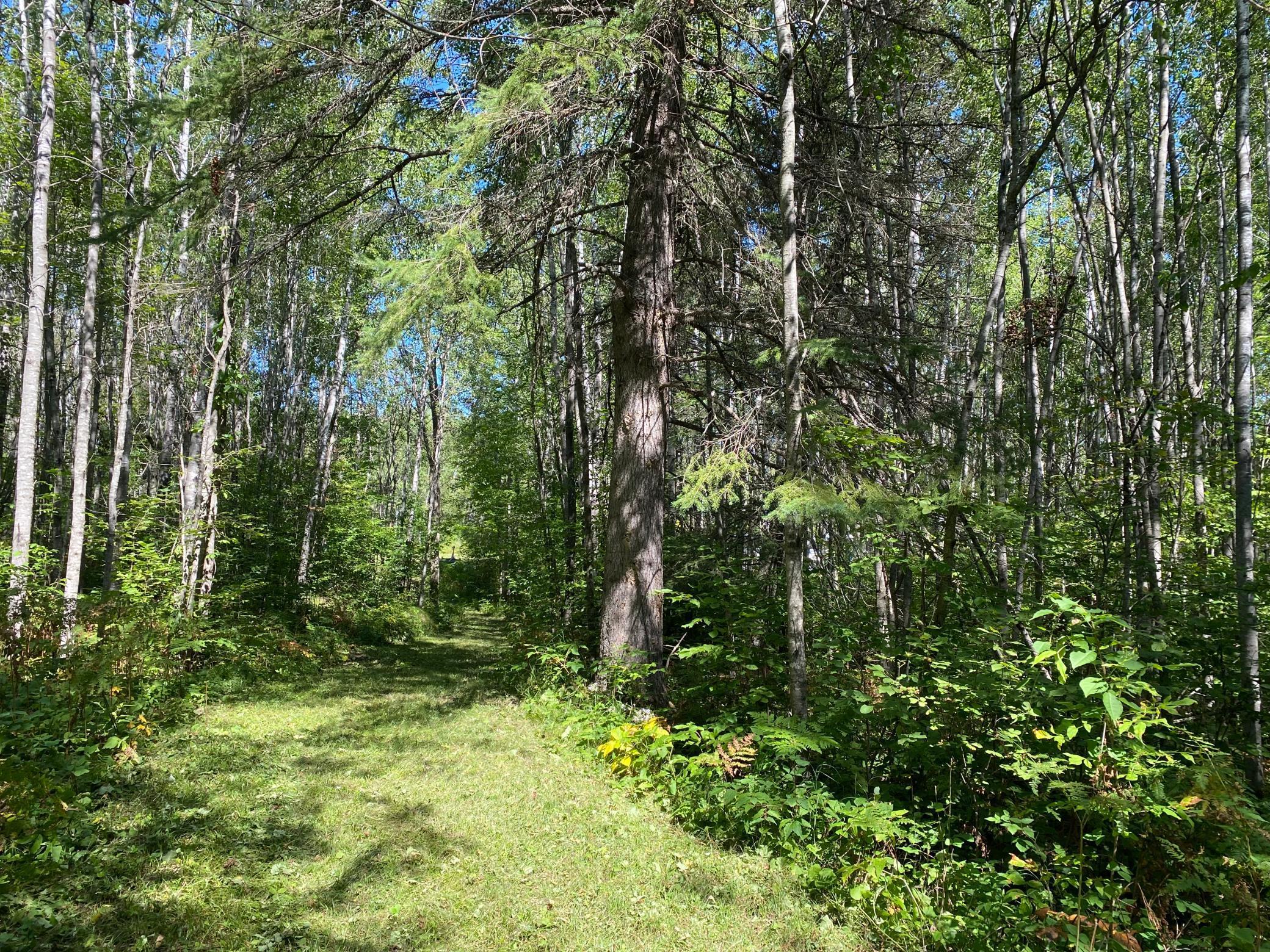 TBD Buck Dr., Bovey, Minnesota image 16