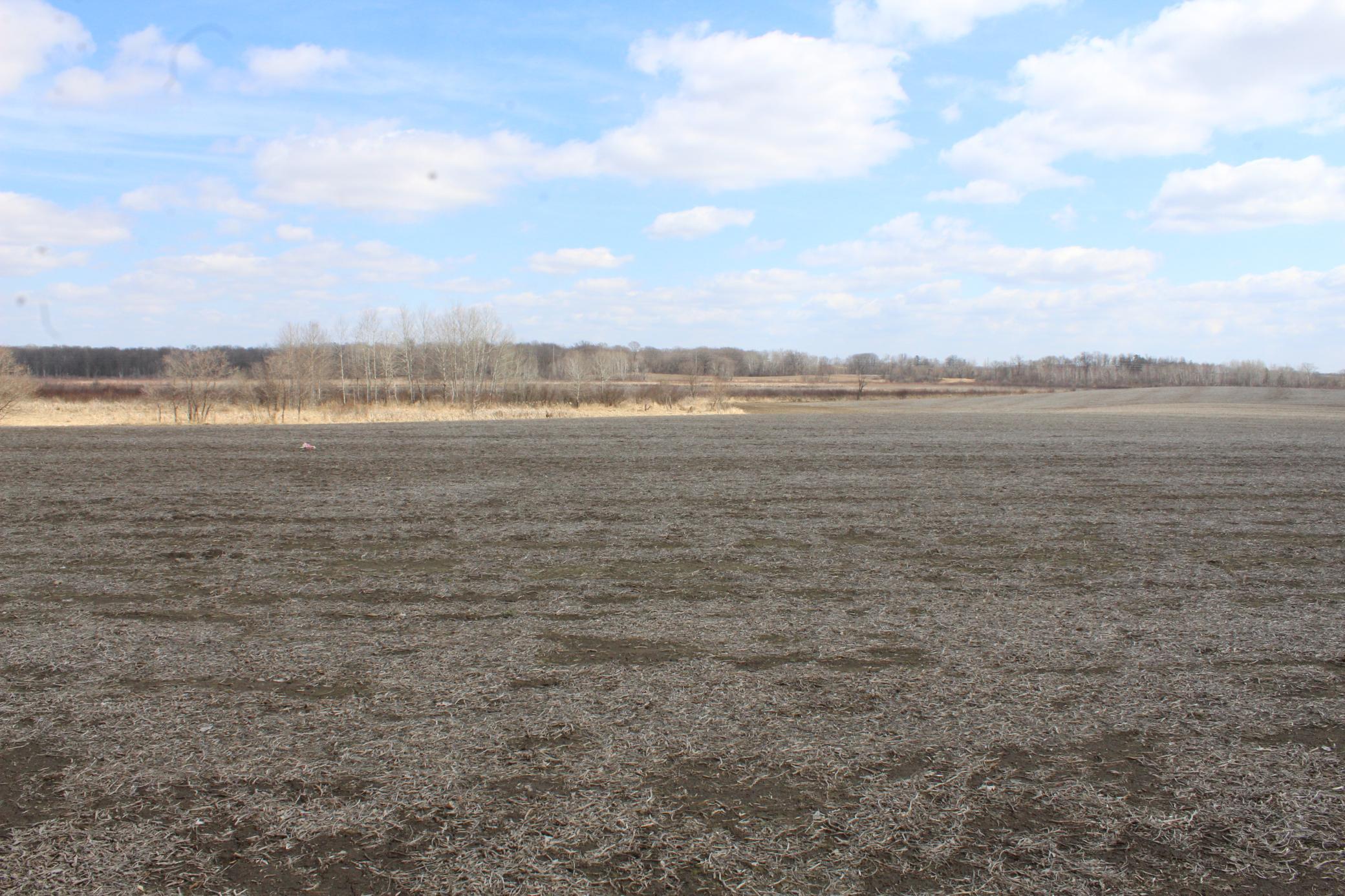 40525 Highway 65, Braham, Minnesota image 6