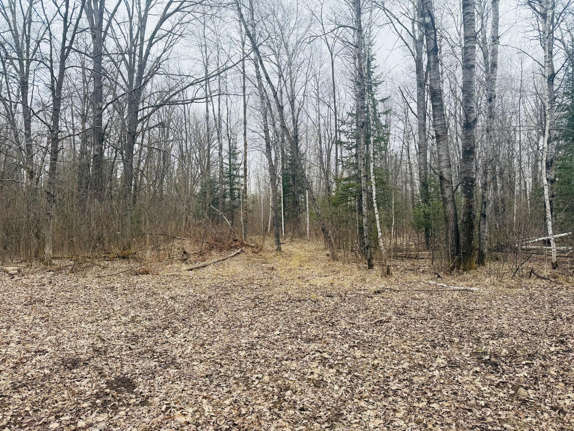 28393 Sunrise Circle, Brook Park, Minnesota image 6