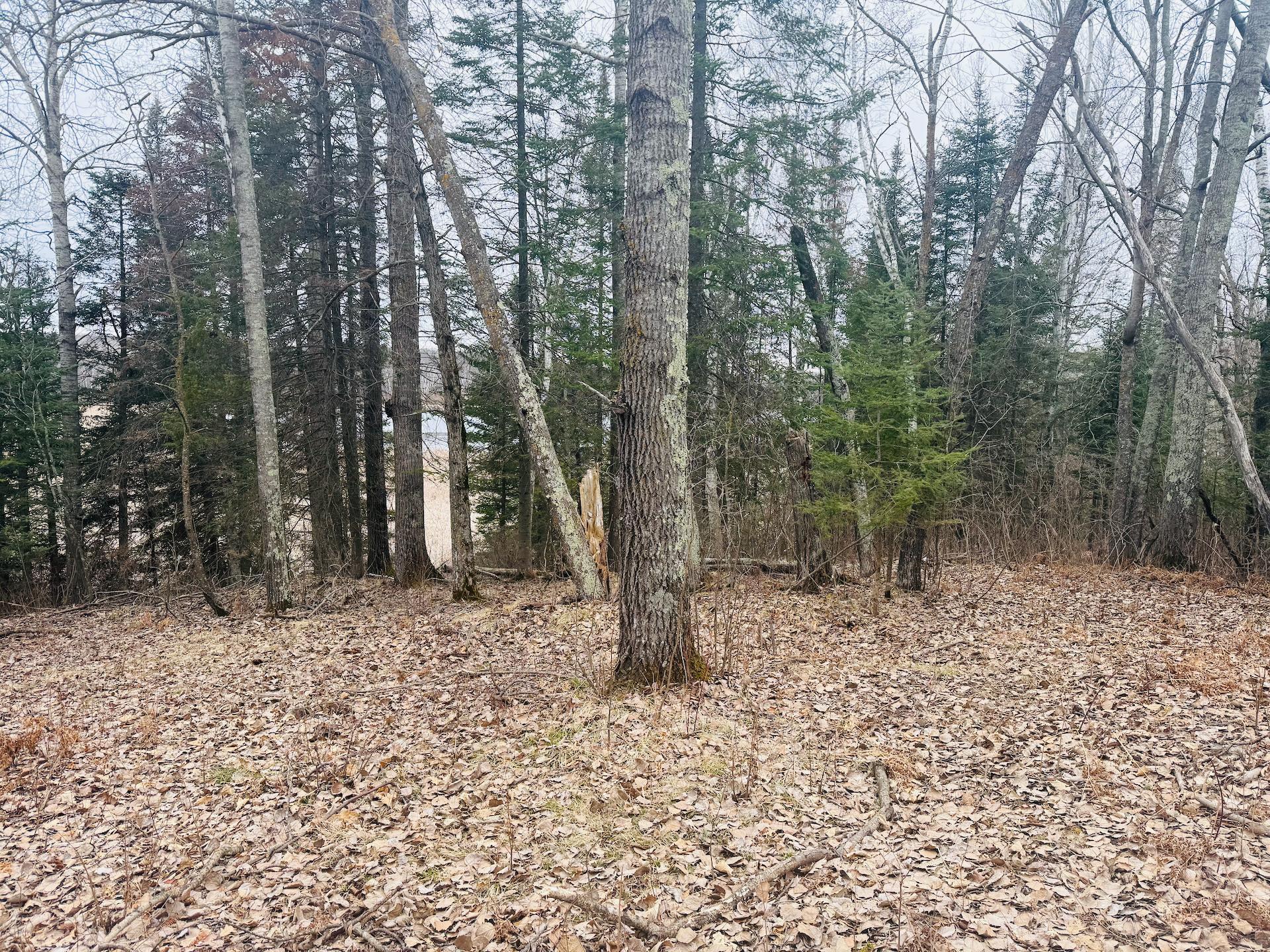 28393 Sunrise Circle, Brook Park, Minnesota image 16