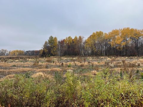 Vacant Land For Sale - TBD (LOT 2) Brunswick Road<br/> Stanchfield, MN 55080