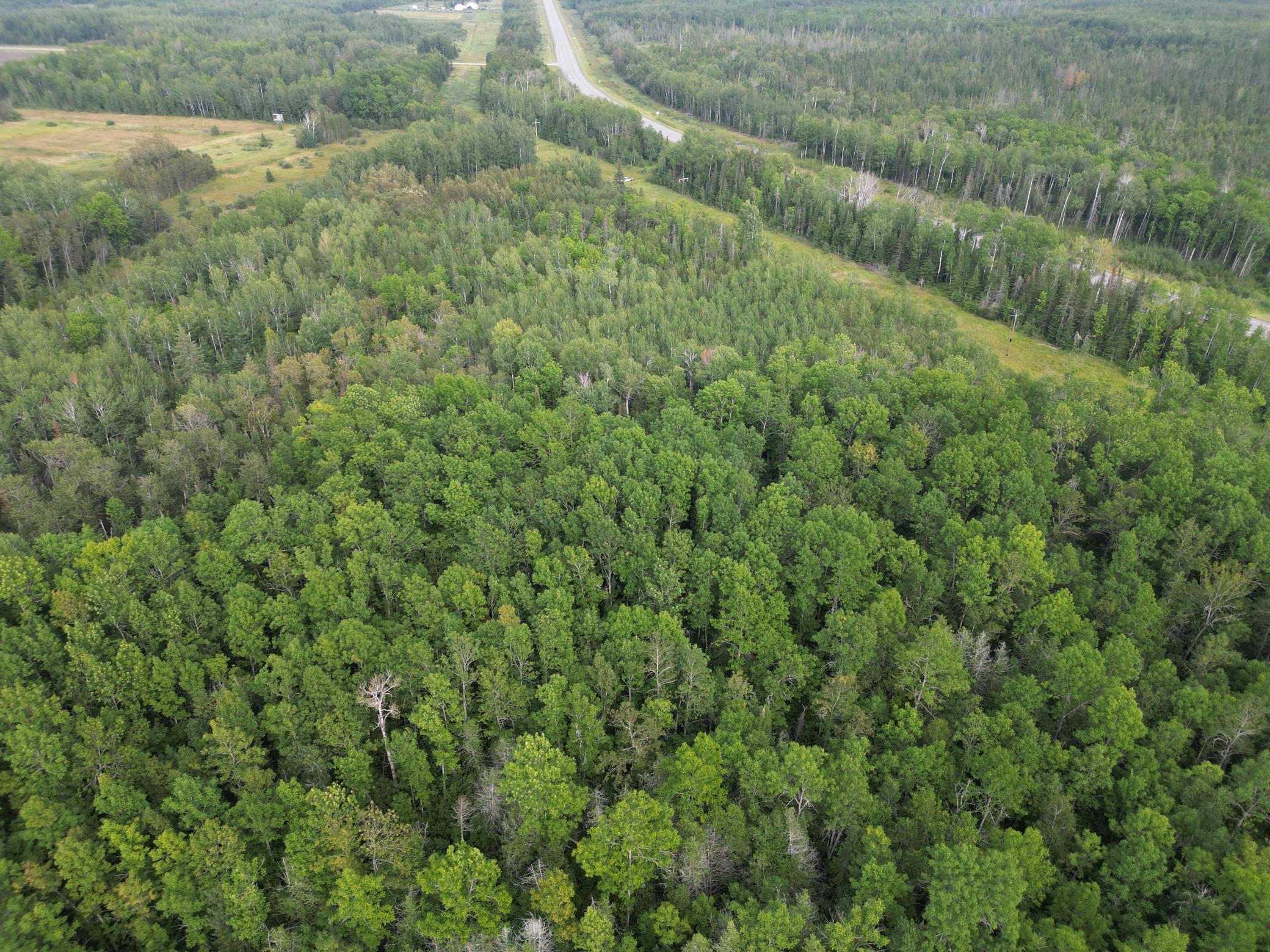 XXX Us-71 Highway, Littlefork, Minnesota image 9