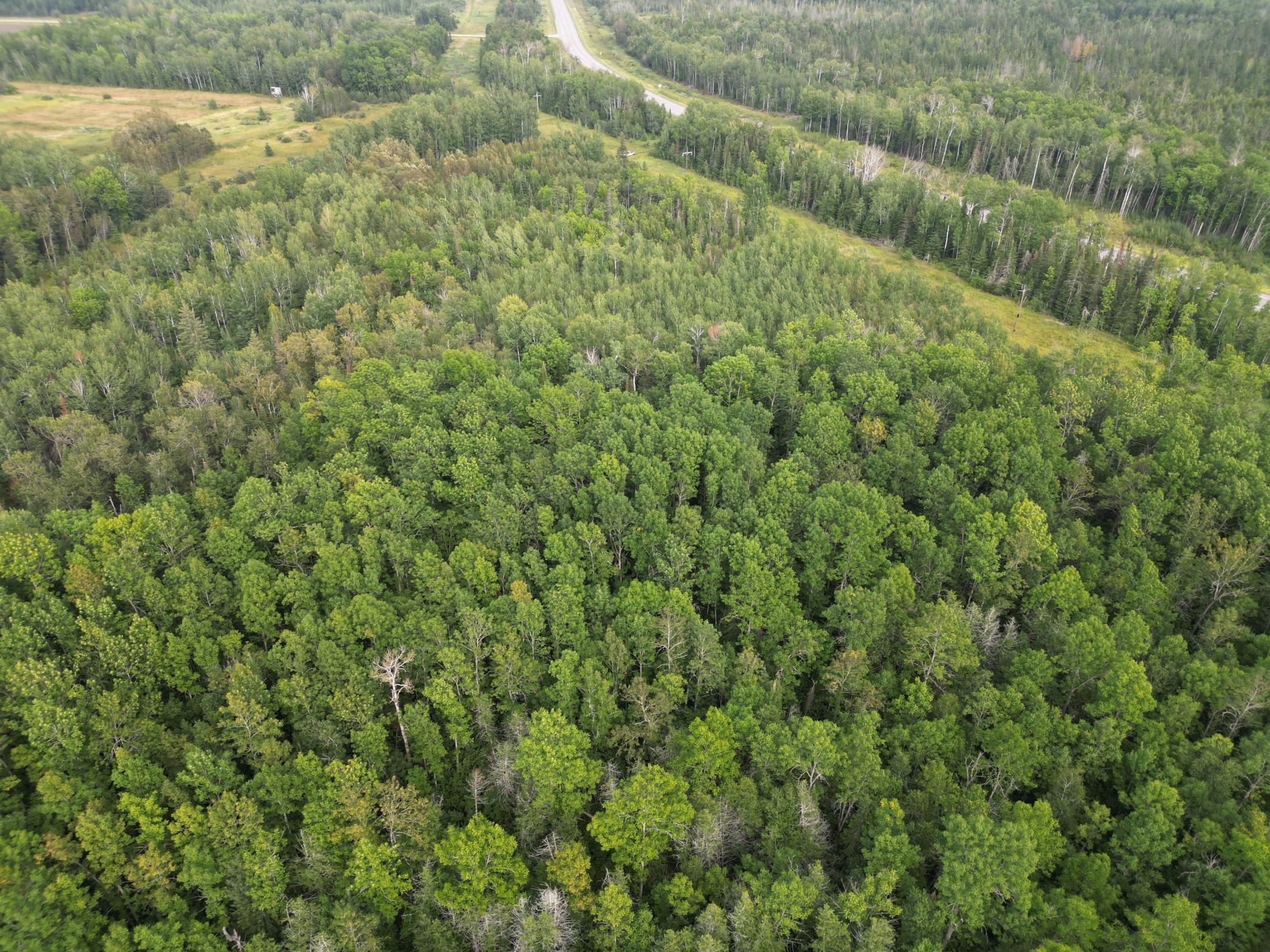 XXX Us-71 Highway, Littlefork, Minnesota image 10