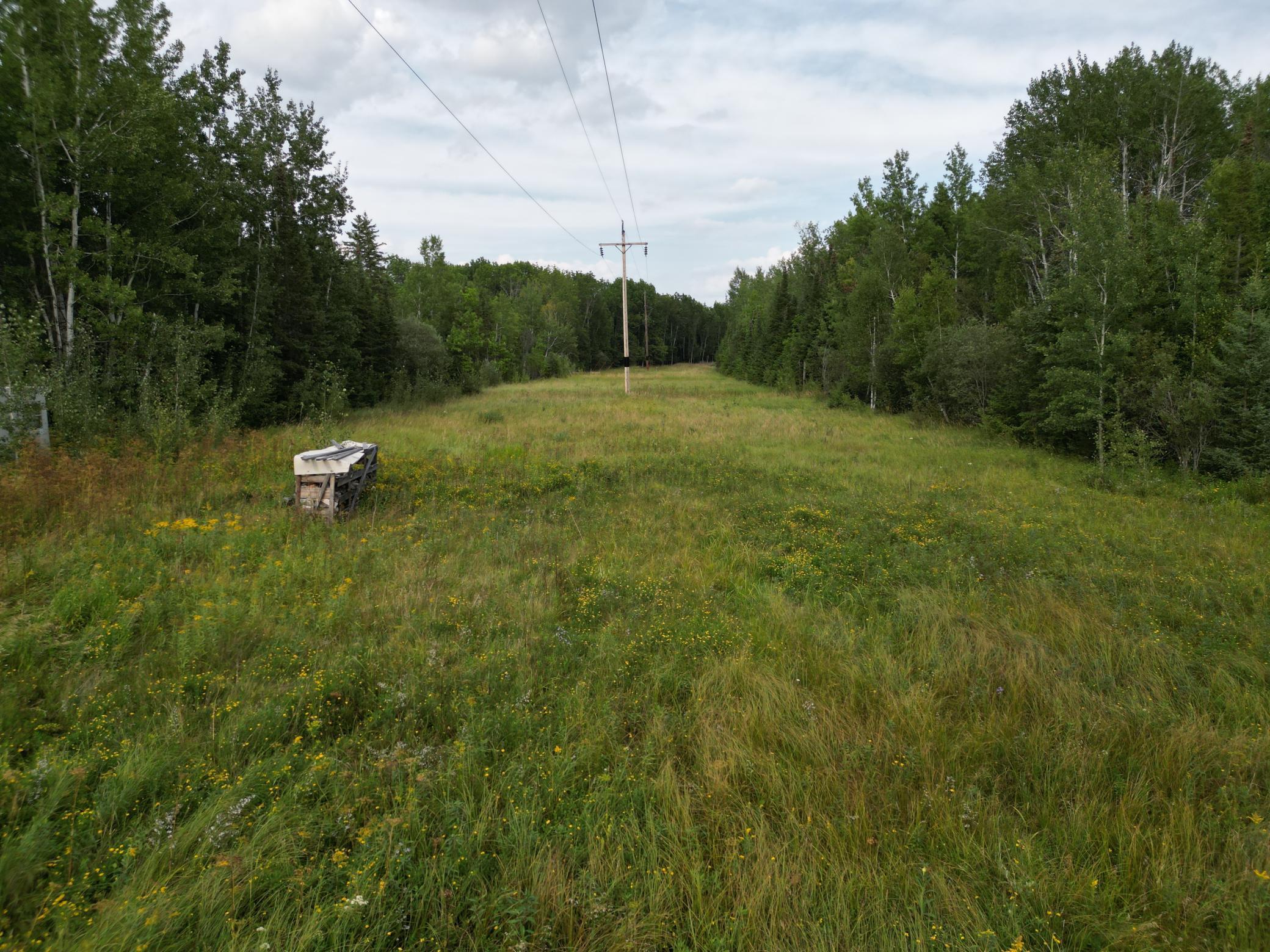 XXX Us-71 Highway, Littlefork, Minnesota image 22