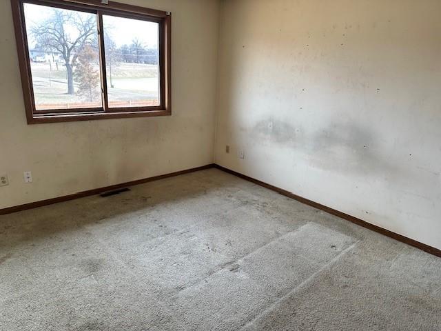 13693 Hidden Creek Drive, Andover, Minnesota image 6
