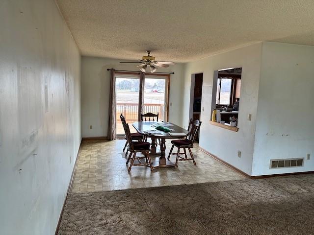 13693 Hidden Creek Drive, Andover, Minnesota image 5