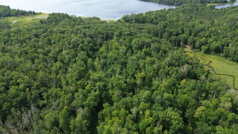 Vacant Land For Sale - 22751 County Road 1<br/> Emily, MN 56447