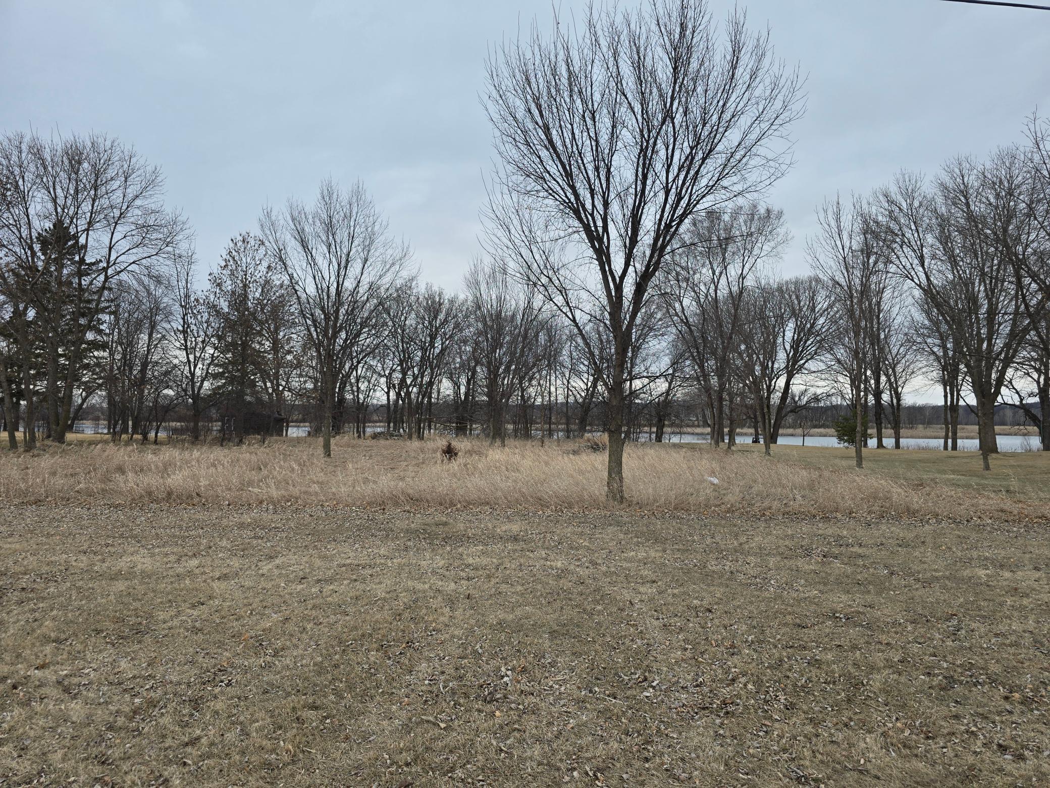 16 Angelfish Avenue, Avon, Minnesota image 4