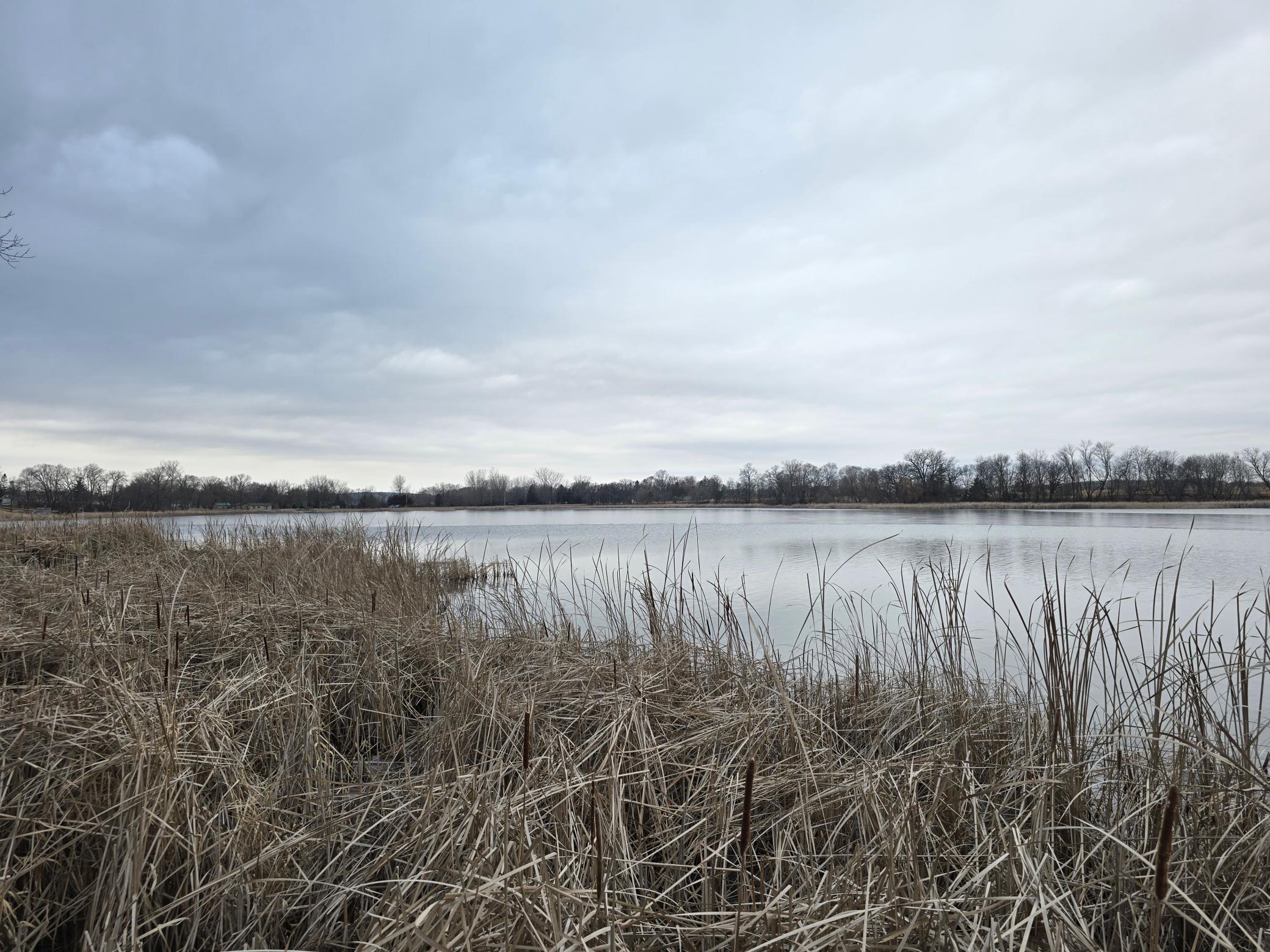 16 Angelfish Avenue, Avon, Minnesota image 3
