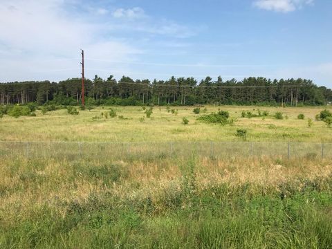 Vacant Land For Sale - XXX 63rd Avenue<br/> Cannon Falls, MN 55009