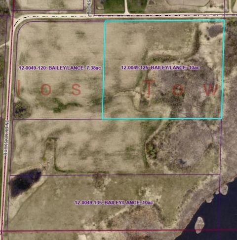 Vacant Land For Sale - LOT 2 Buckskin Road<br/> Carlos, MN 56319