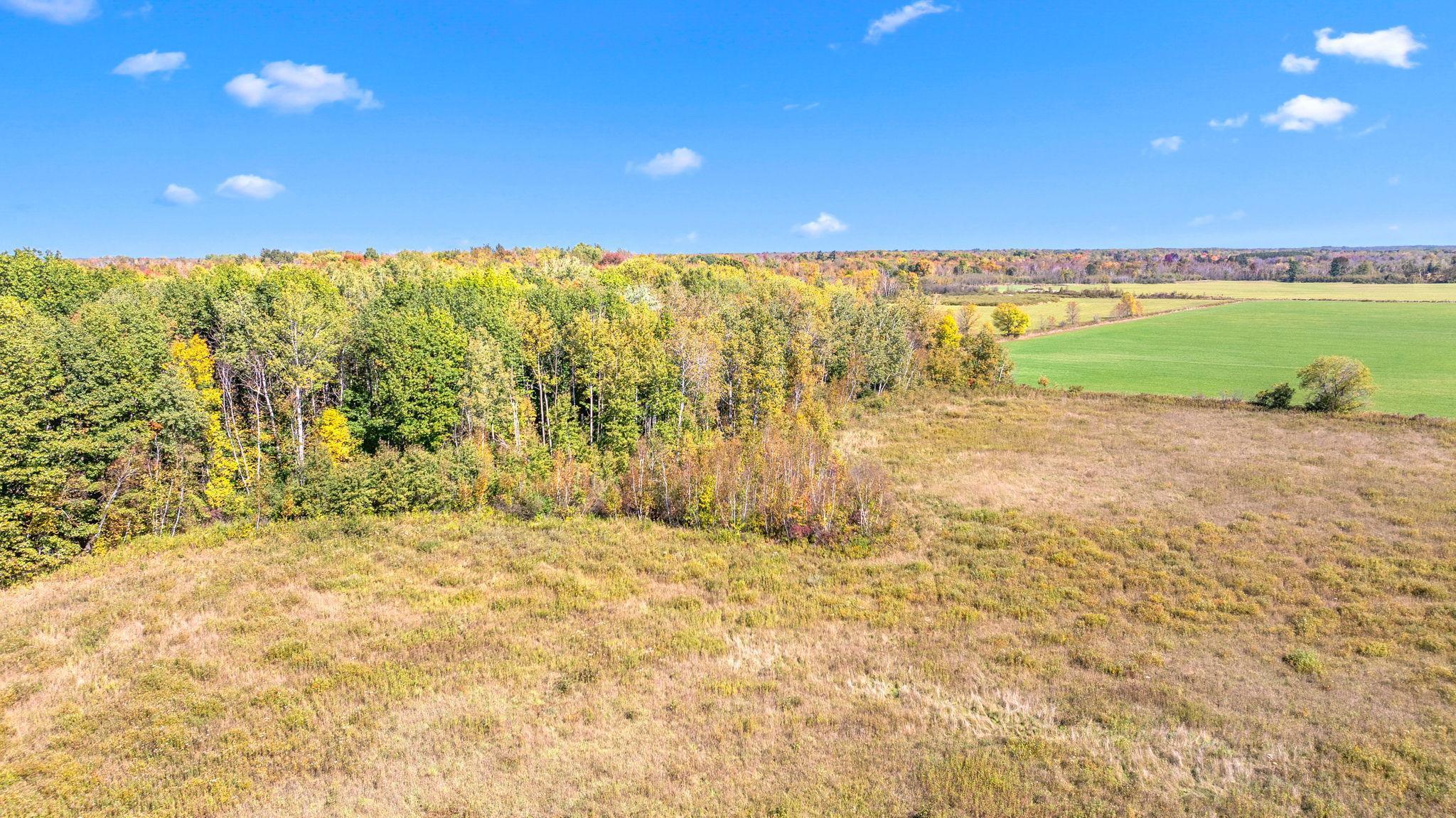 TBD Lone Pine, Hinckley, Minnesota image 4