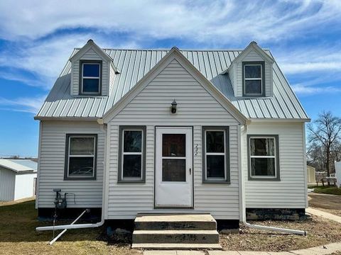 Homes For Sale - 232 Drury Avenue<br/> Pope County, Lowry, MN 56349