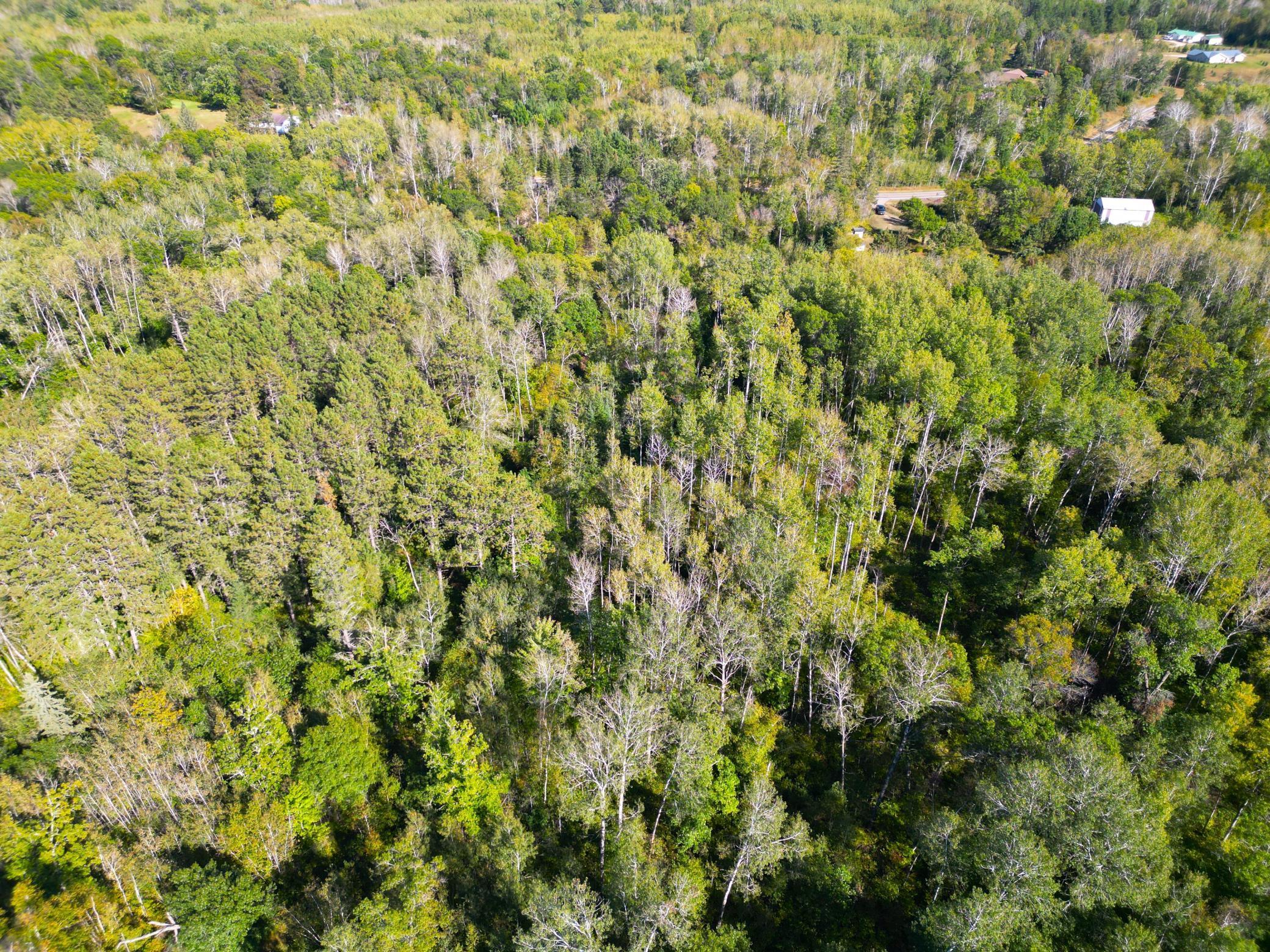 XXX Highway 84, Pine River, Minnesota image 11