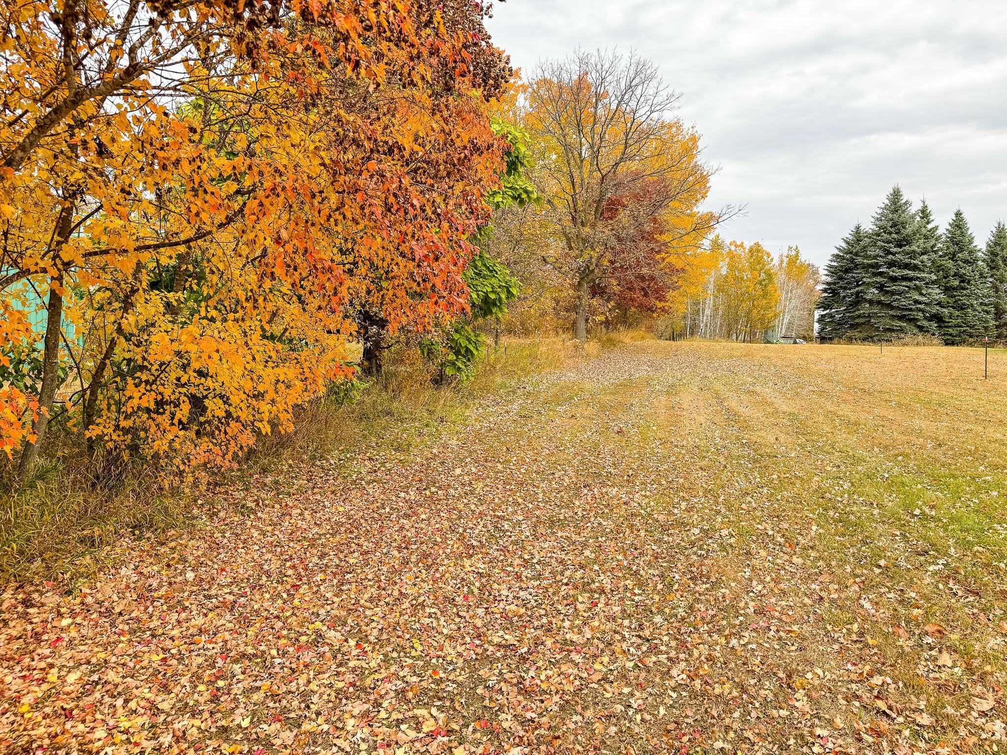 49XXX Leaf River Road, Ottertail, Minnesota image 11