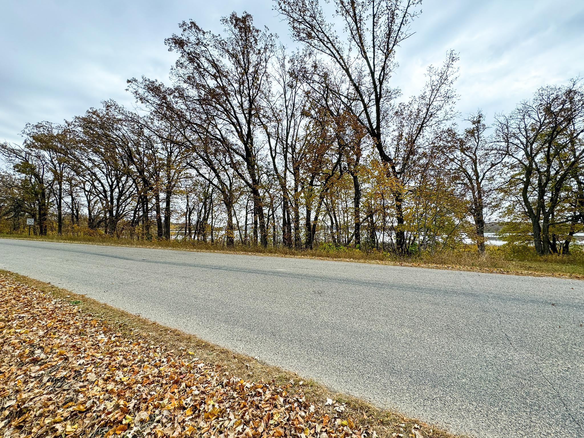 49XXX Leaf River Road, Ottertail, Minnesota image 9