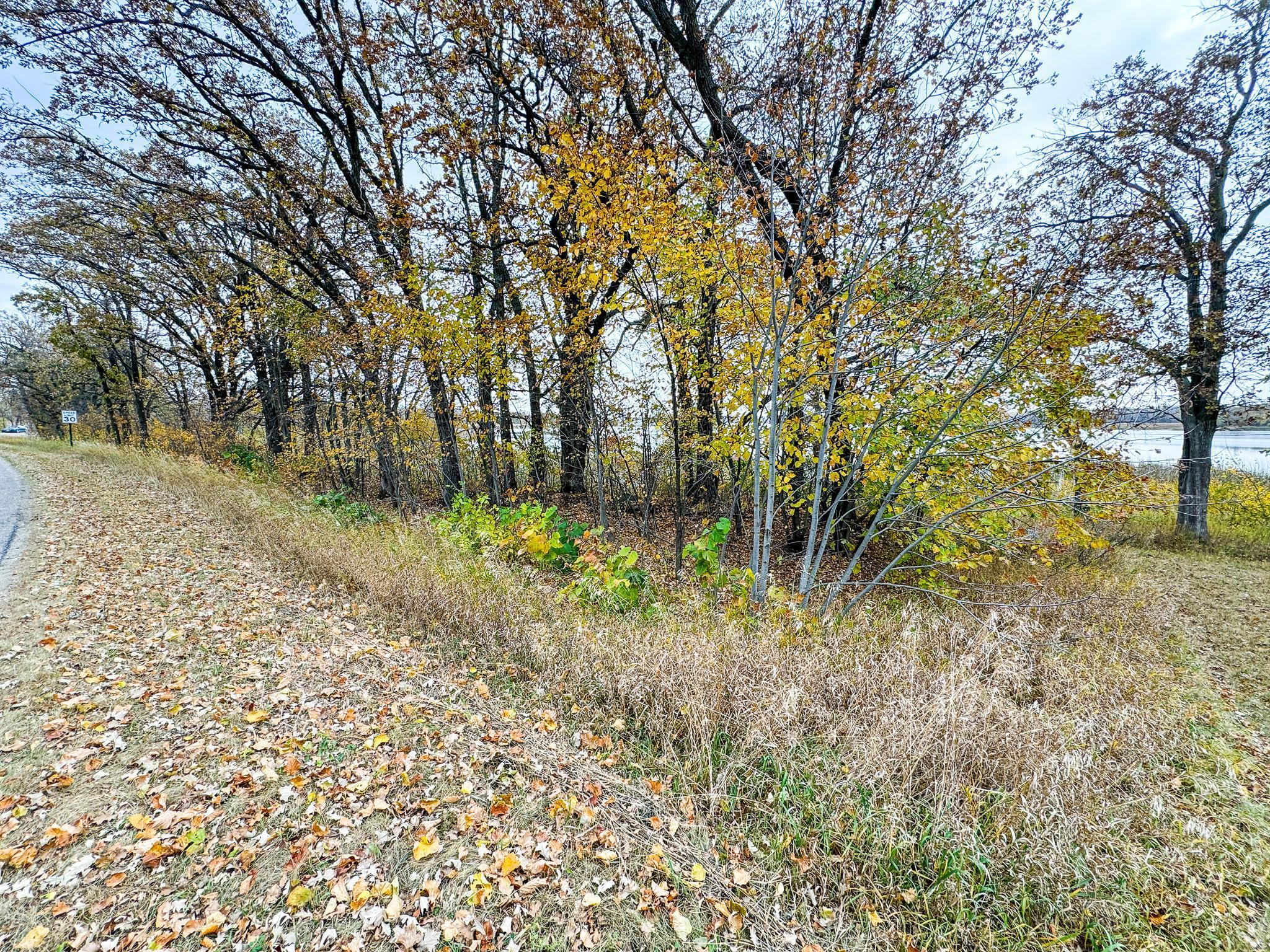 49XXX Leaf River Road, Ottertail, Minnesota image 4