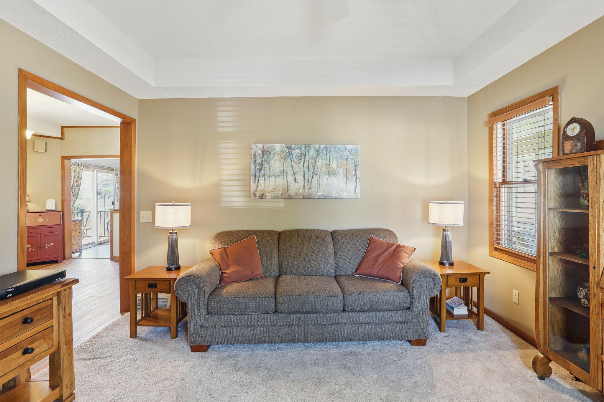 905 Ramsey Street, Hastings, Minnesota image 16