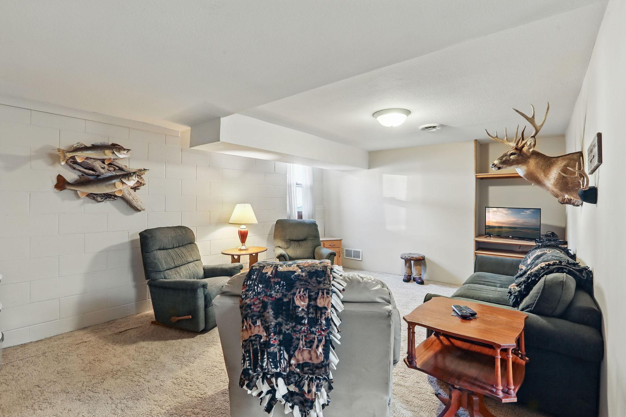 905 Ramsey Street, Hastings, Minnesota image 26