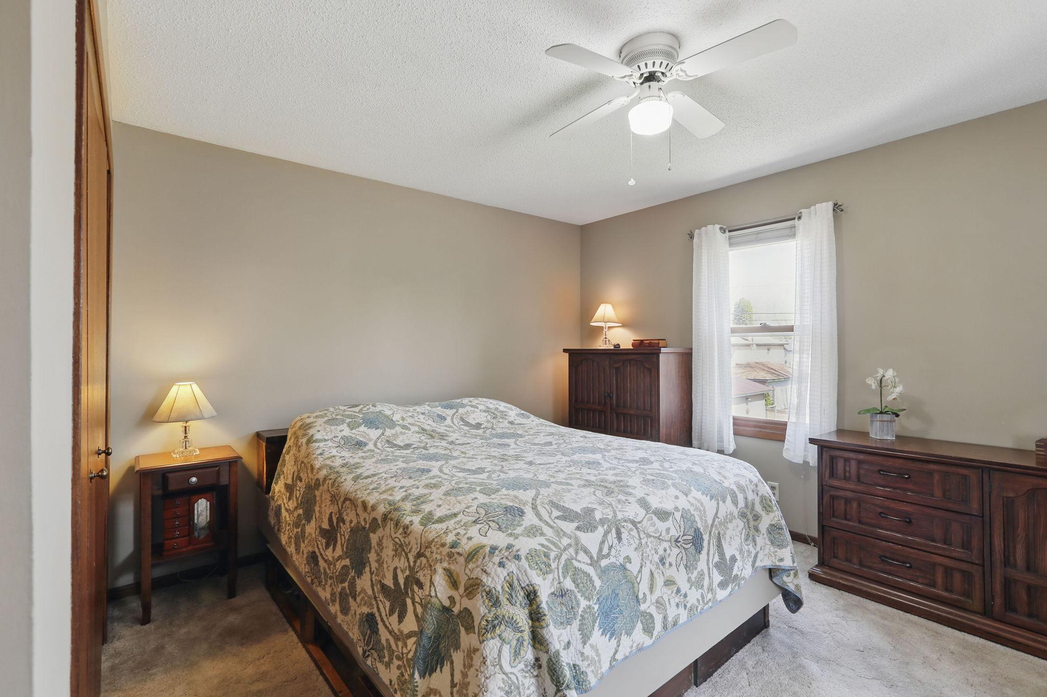905 Ramsey Street, Hastings, Minnesota image 18