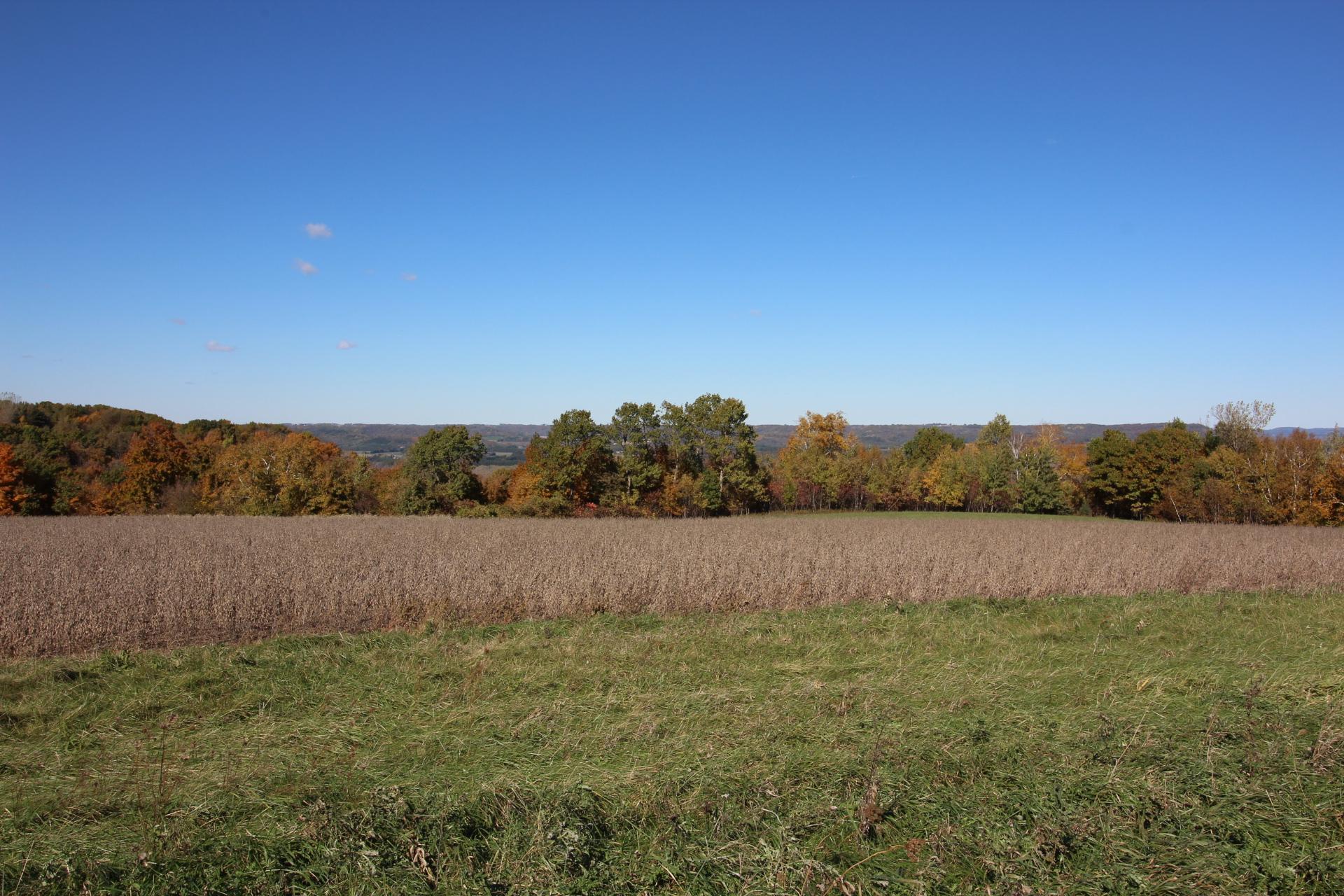 Lot 19 215th Avenue, Wabasha, Minnesota image 15