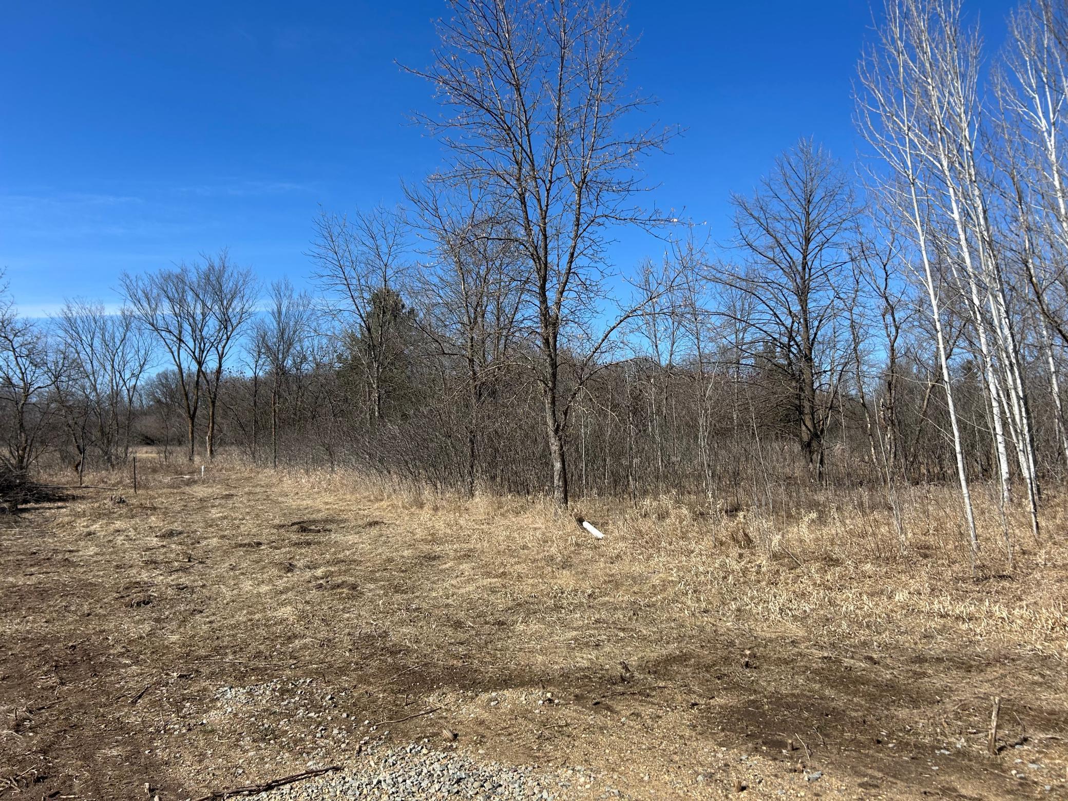 40347 Pleasant Drive, Browerville, Minnesota image 3