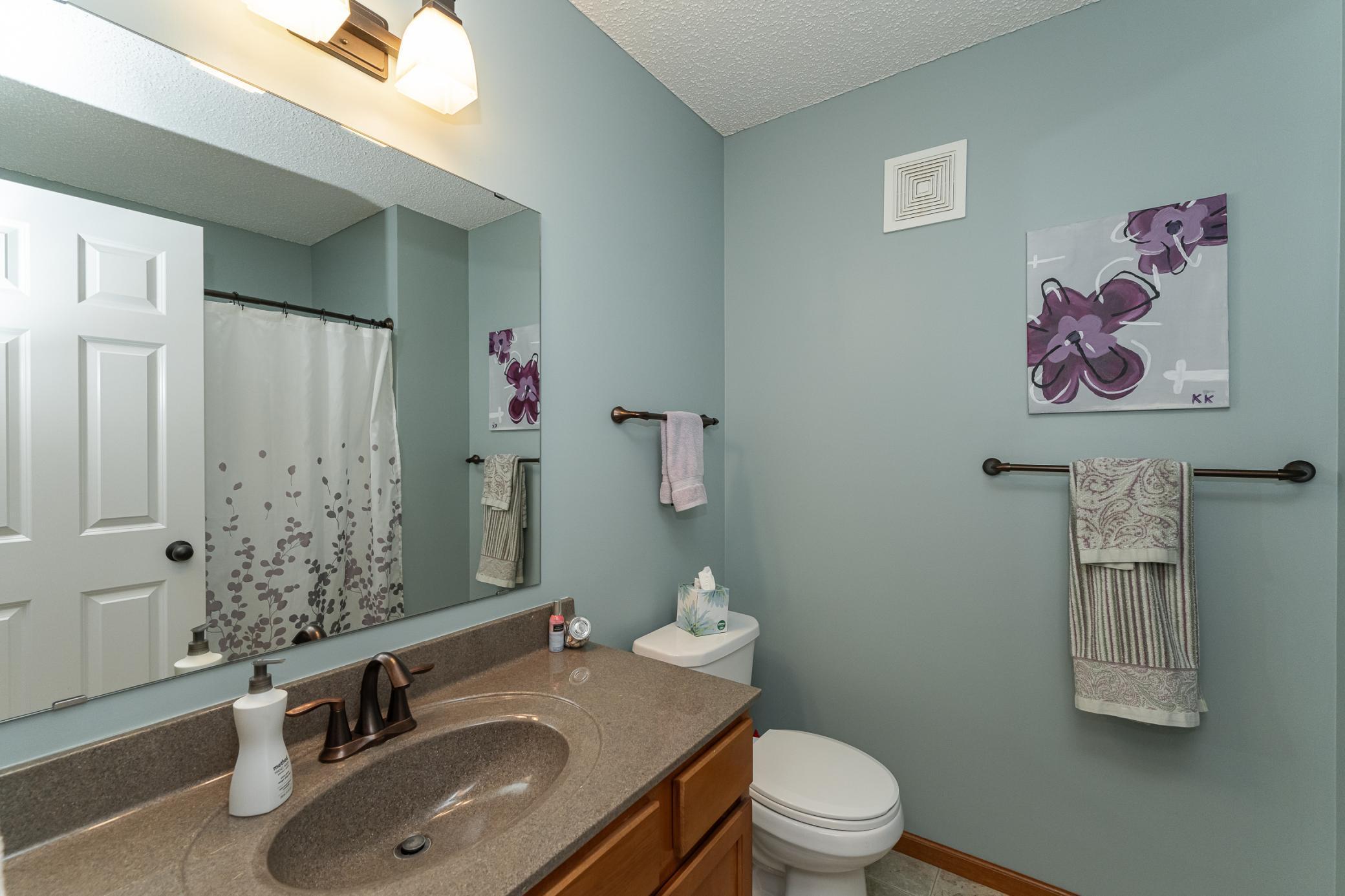 5043 Scarlet Lane, Rochester, Minnesota image 17