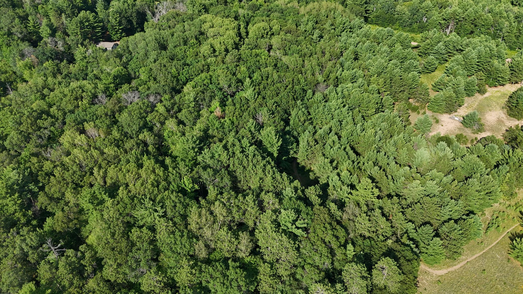 Lot 4 Fosmo, Webster, Wisconsin image 18