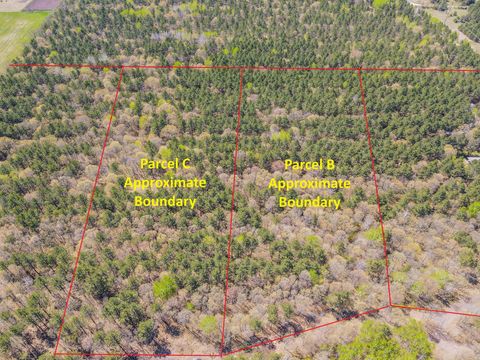 Vacant Land For Sale - TBD Deacon Drive - Parcel C<br/> Park Rapids, MN 56470