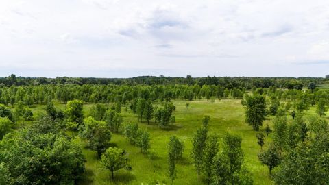 Vacant Land For Sale - LOT 2 Rutten Lane<br/> Carlos, MN 56319