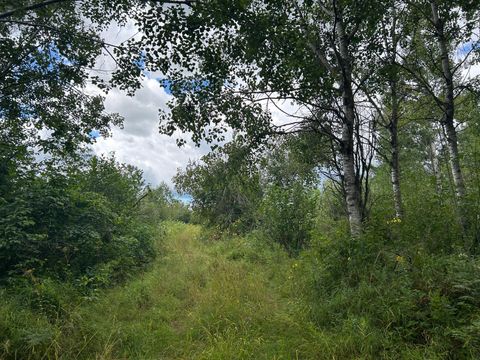 Vacant Land For Sale - TBD Duncan Road<br/> Sandstone, MN 55072