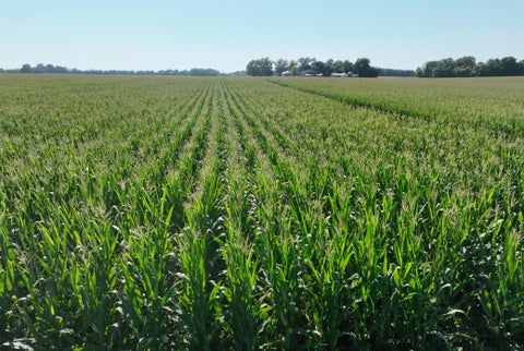 Vacant Land For Sale - 001 60th Street<br/> Benson, MN 56215