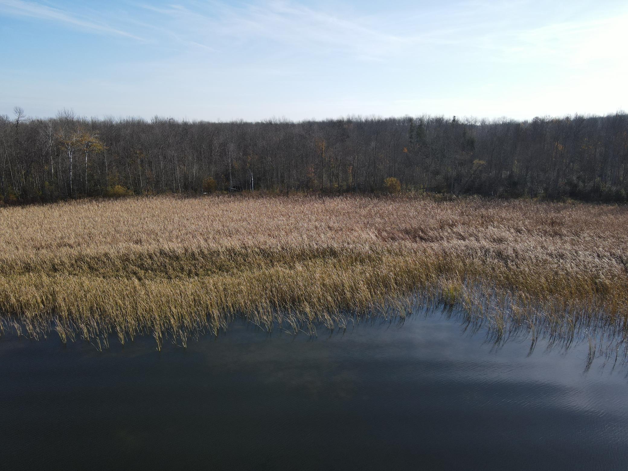 TBD 677th Lane, Hill City, Minnesota image 9