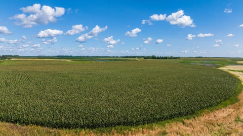Vacant Land For Sale - TBD 15 St Se Lot 1<br/> Barnes County, Wimbledon, ND 58492