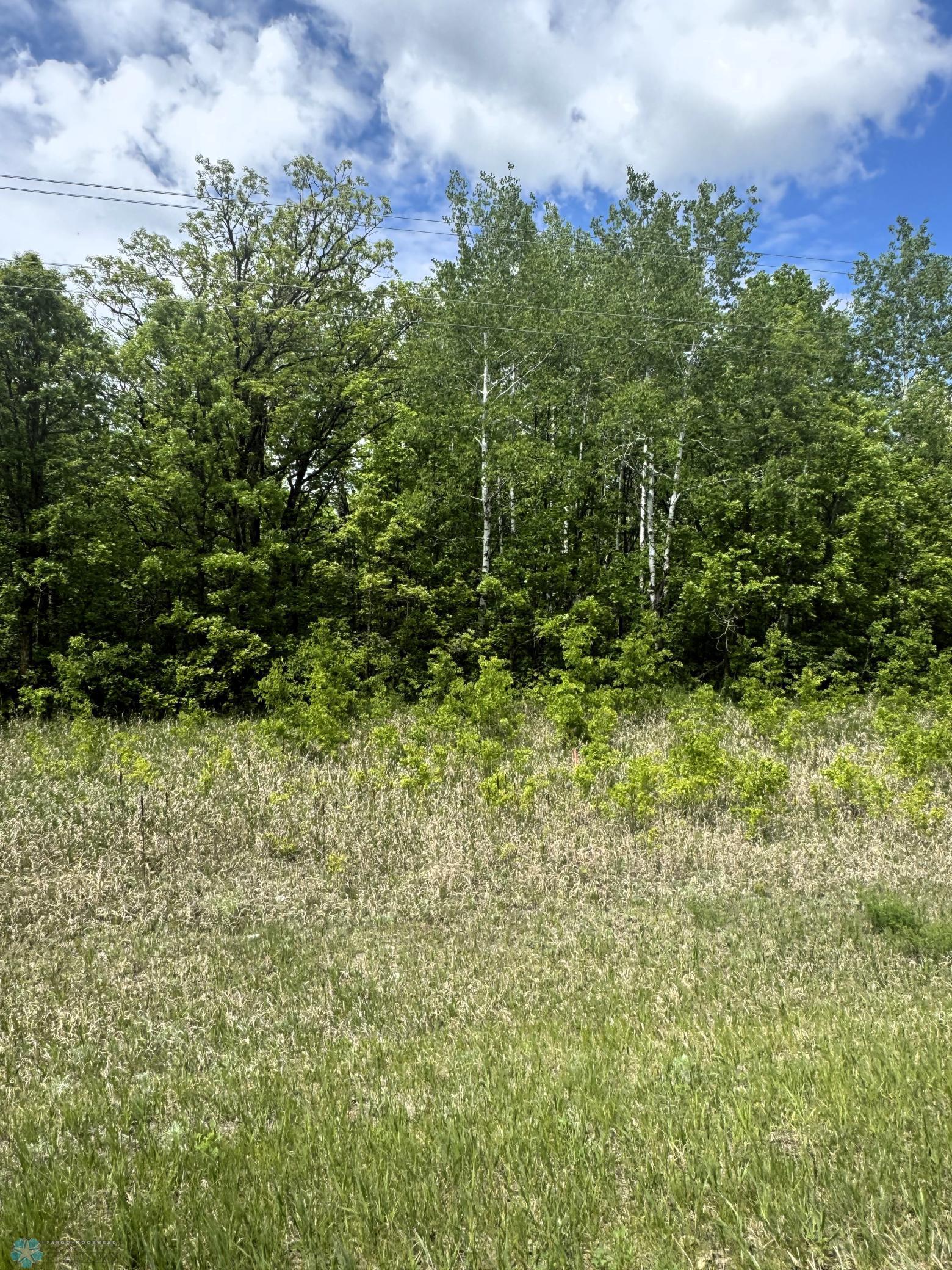 (Lot 2) TBD County Rd 4, Waubun, Texas image 2