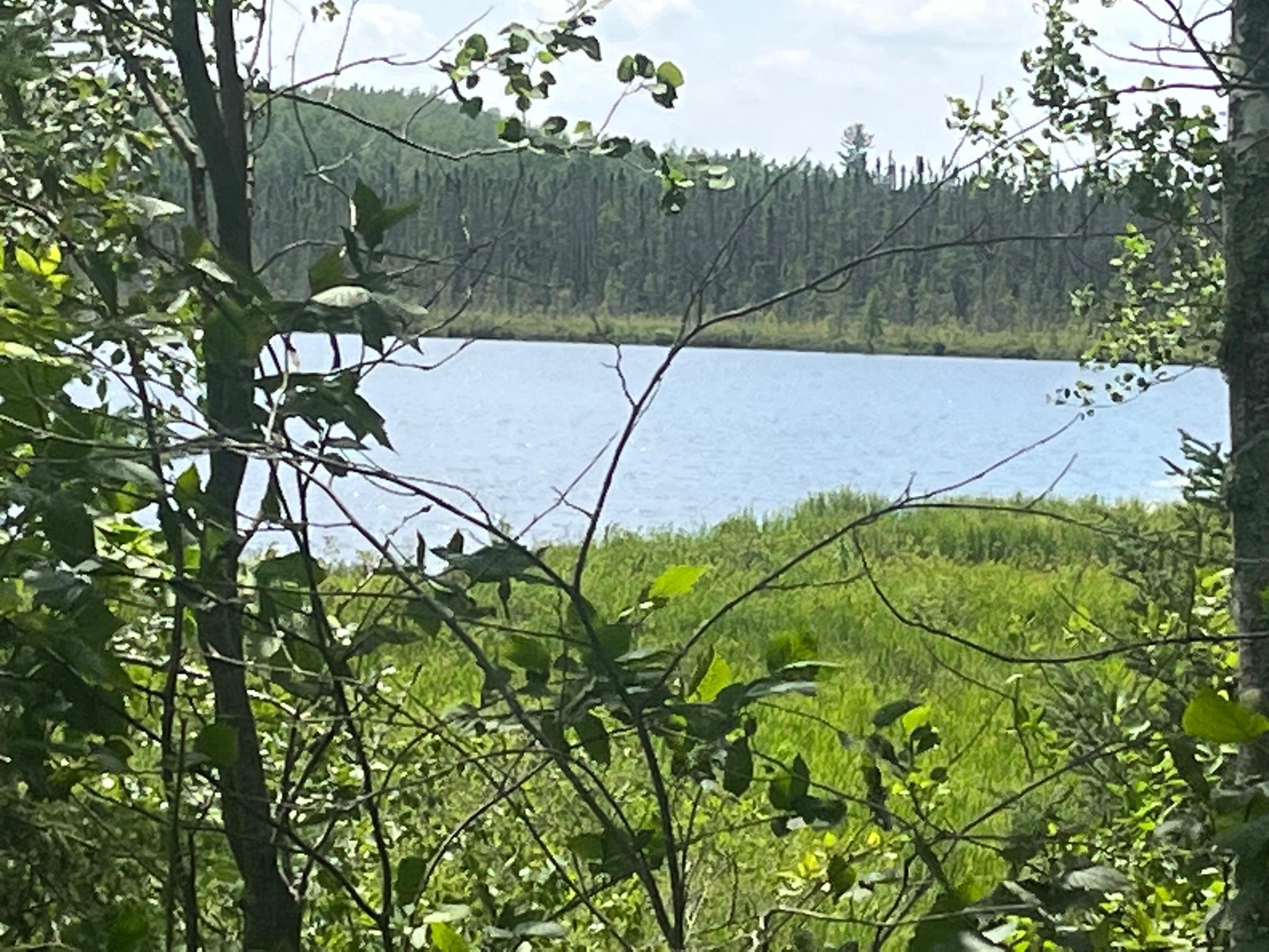 TBD Little Whitefish Trail, Nashwauk, Minnesota image 4