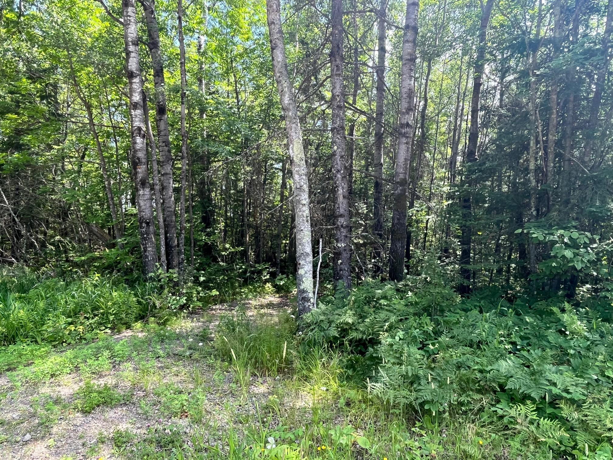 TBD Little Whitefish Trail, Nashwauk, Minnesota image 5