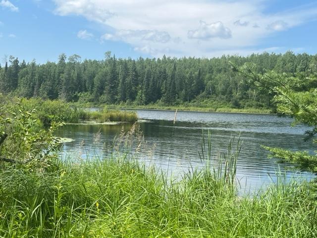 TBD Little Whitefish Trail, Nashwauk, Minnesota image 10