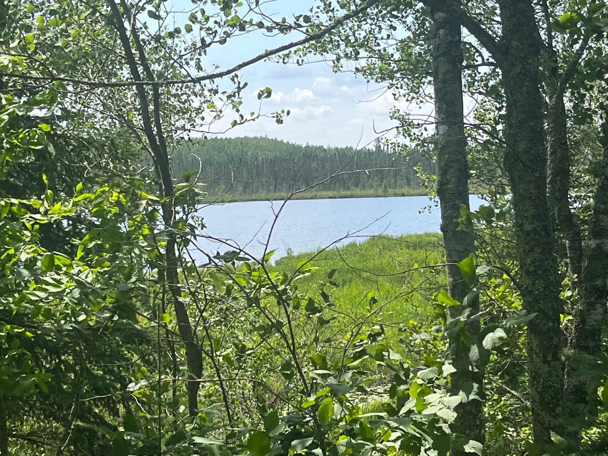 TBD Little Whitefish Trail, Nashwauk, Minnesota image 2