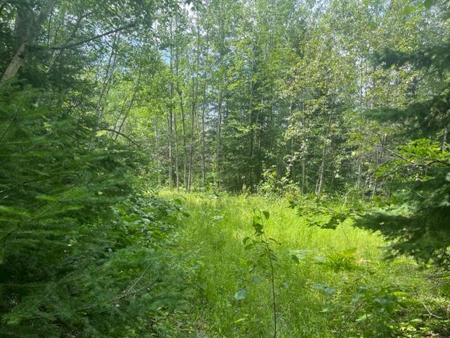 TBD Little Whitefish Trail, Nashwauk, Minnesota image 6