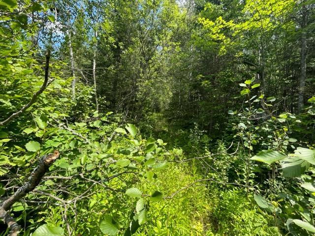 TBD Little Whitefish Trail, Nashwauk, Minnesota image 8
