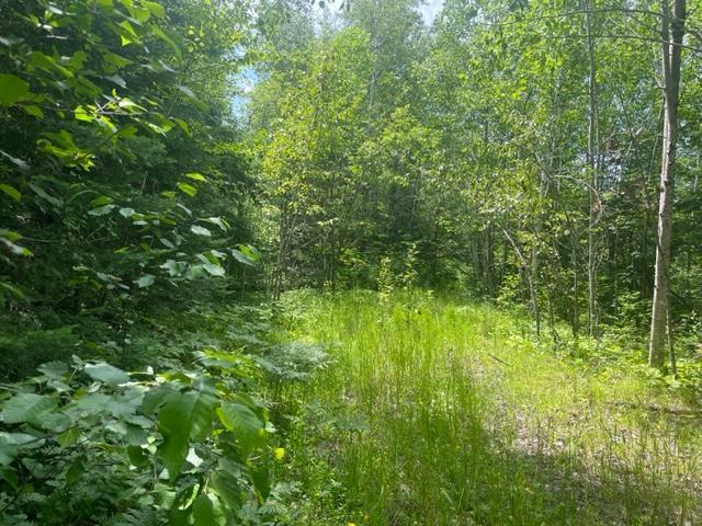 TBD Little Whitefish Trail, Nashwauk, Minnesota image 7