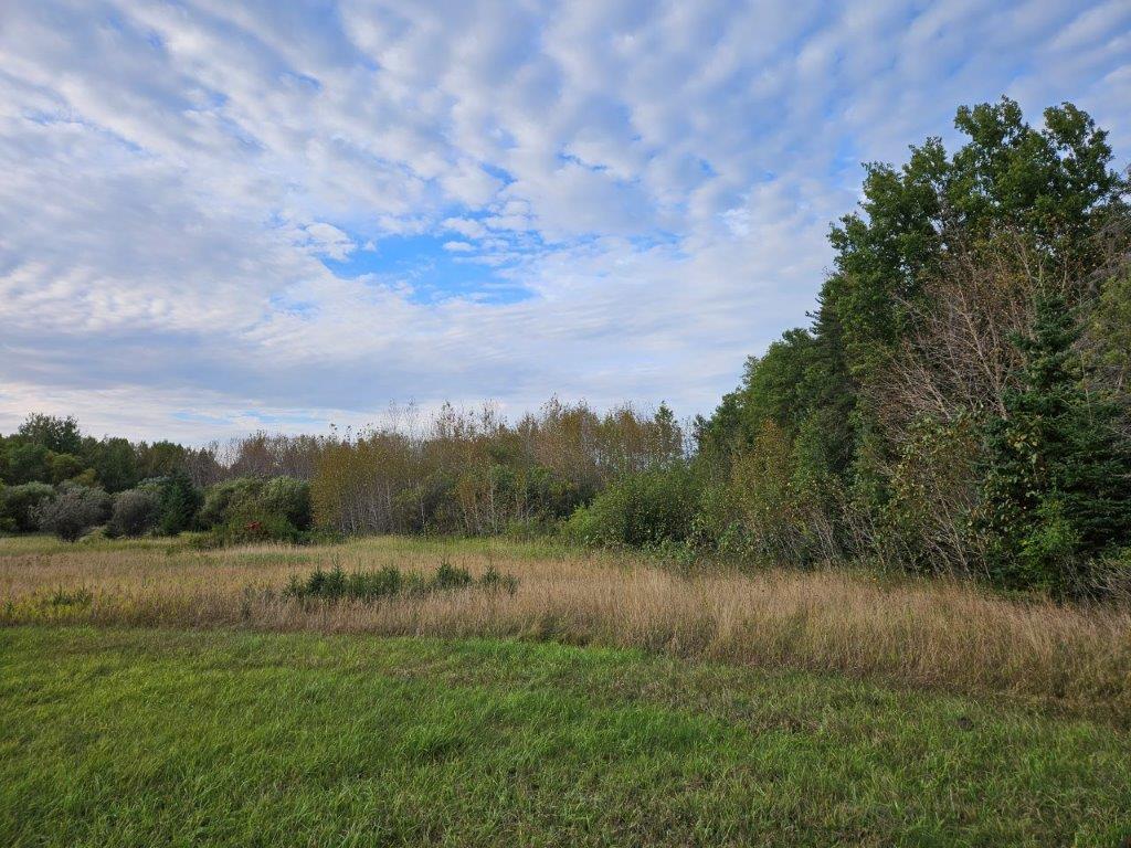 TBD Sunset Avenue, Bagley, Minnesota image 2