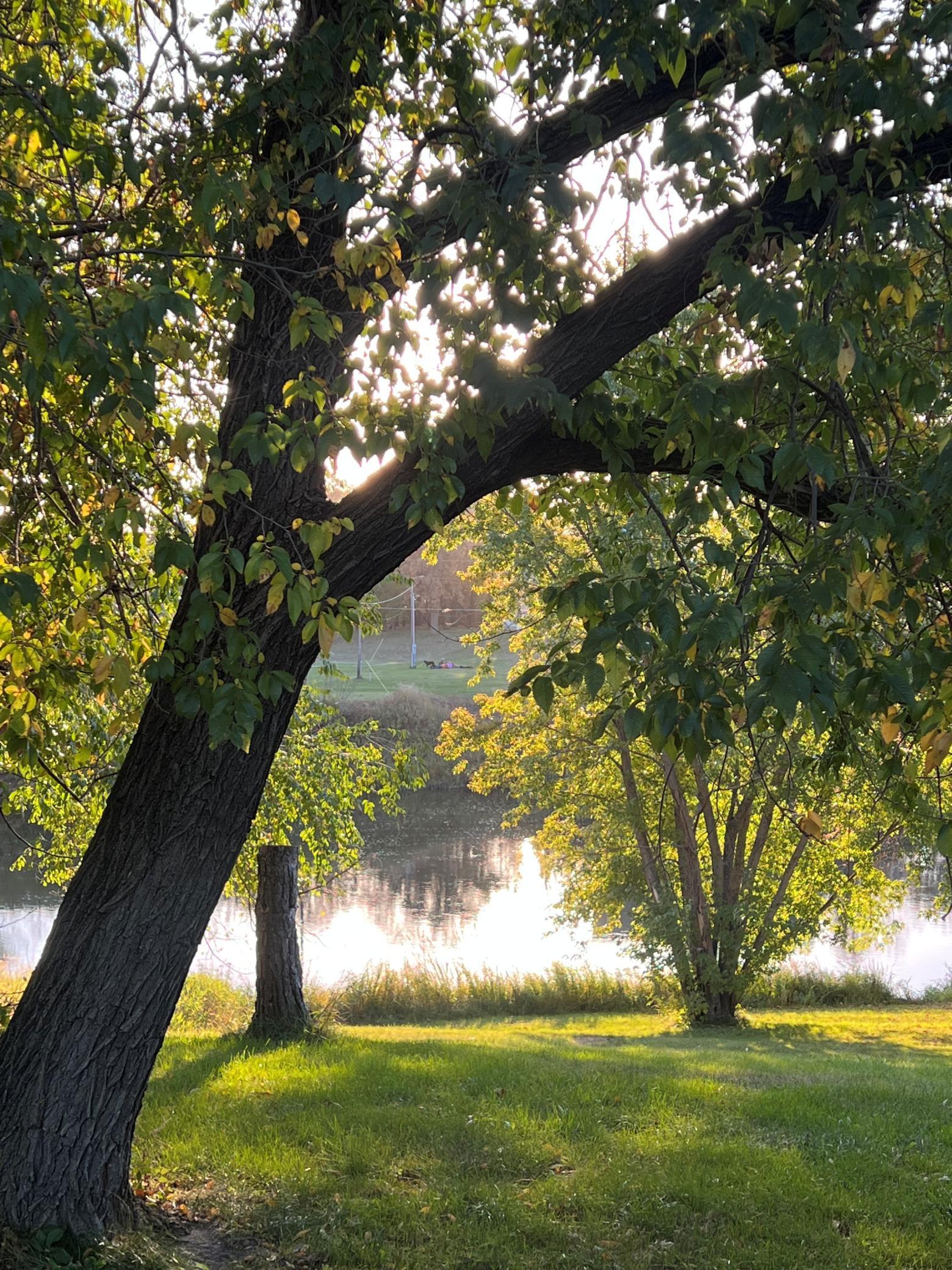 14199 Riverbend Trail, Thief River Falls, Minnesota image 7