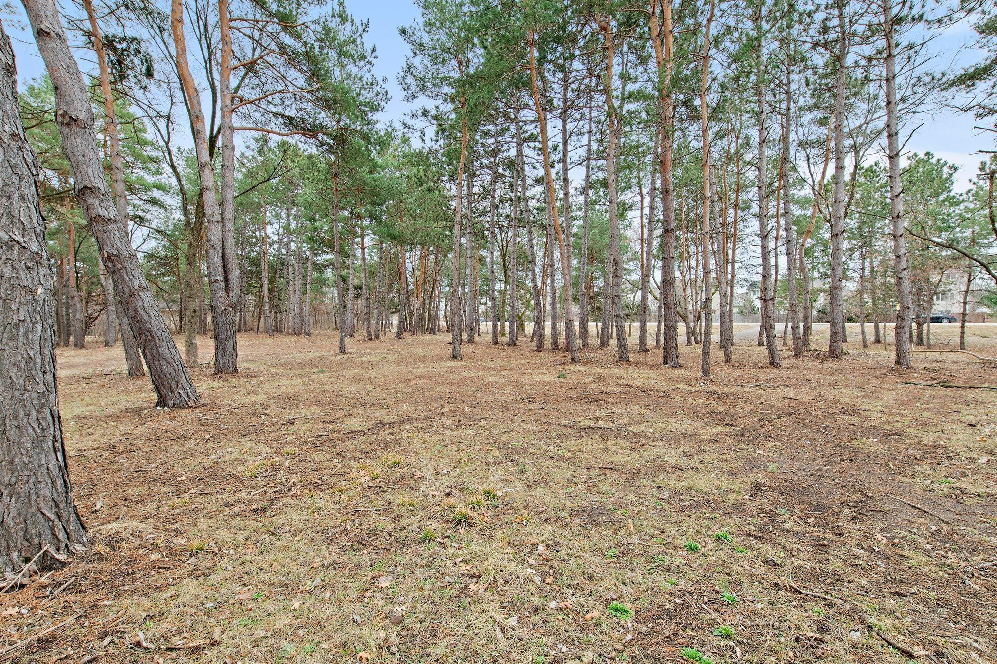 7370 River Road, Otsego, Minnesota image 6