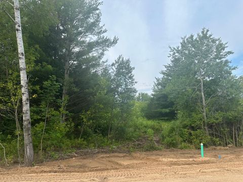 Vacant Land For Sale - LOT 12 BLK 1 Brummer Drive<br/> Randall, MN 56475