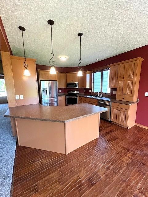 9521 Dunes Court, Cottage Grove, Minnesota image 5
