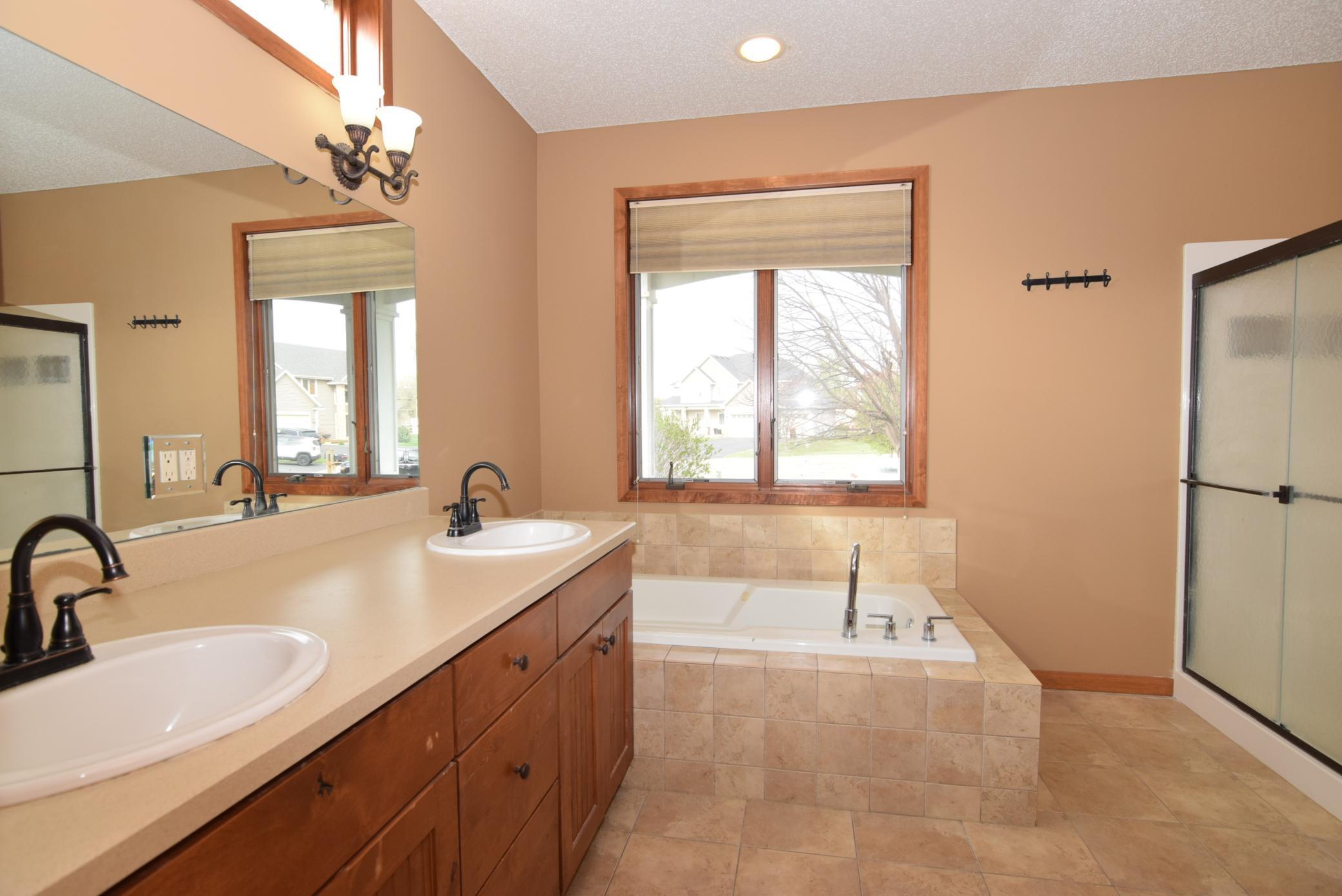 9521 Dunes Court, Cottage Grove, Minnesota image 15